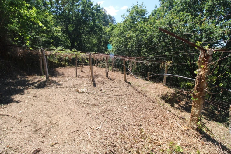 Moradia T4 para Venda em Covas Foto 27