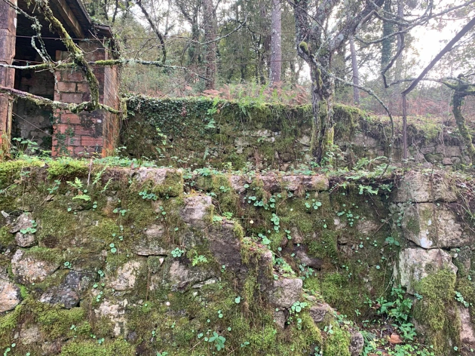 Terreno para Venda em Covas Foto 5