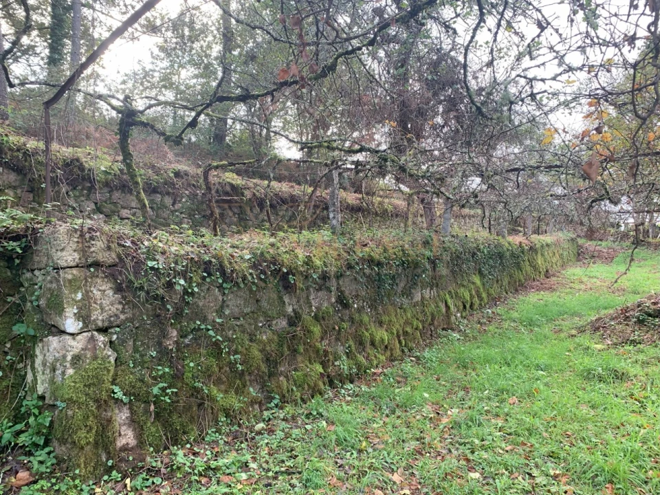 Terreno para Venda em Covas Foto 6