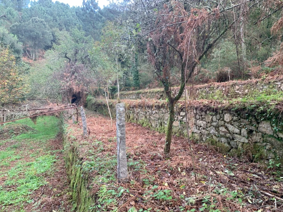 Terreno para Venda em Covas Foto 15