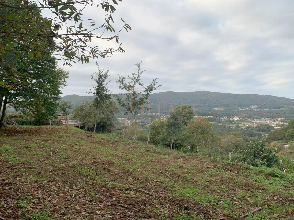 Terreno para Venda em Covas Foto 17