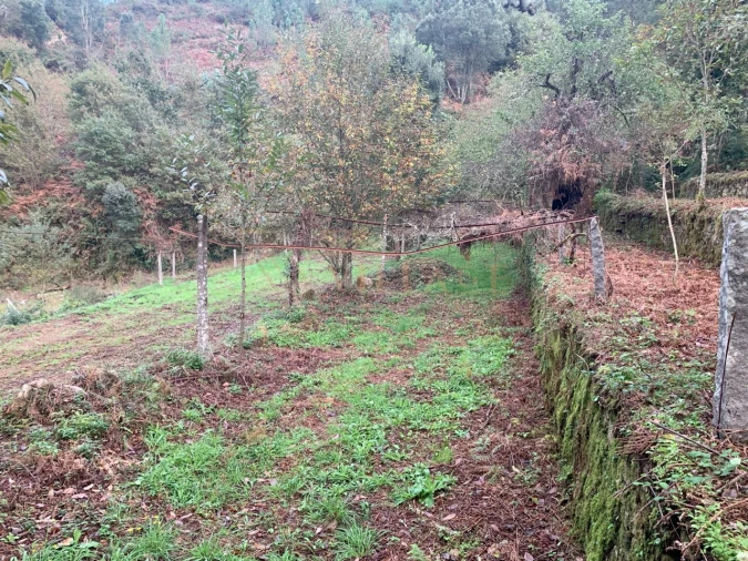 Terreno para Venda em Covas Foto 14