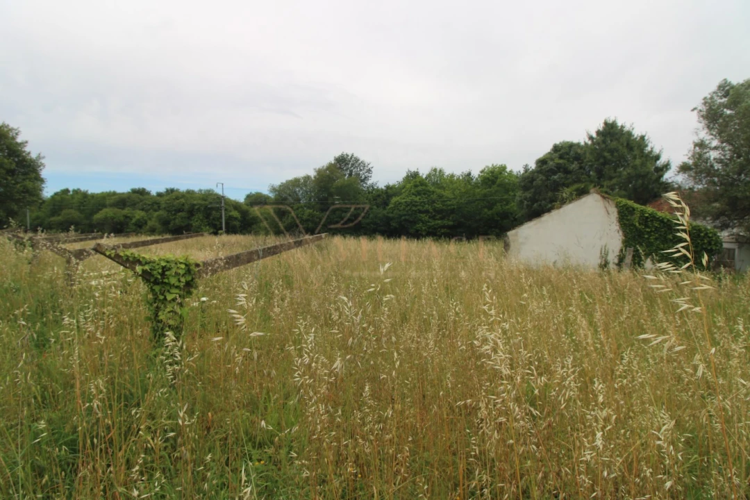 Terreno para Venda em Vila Nova de Cerveira e Lovelhe Foto 4