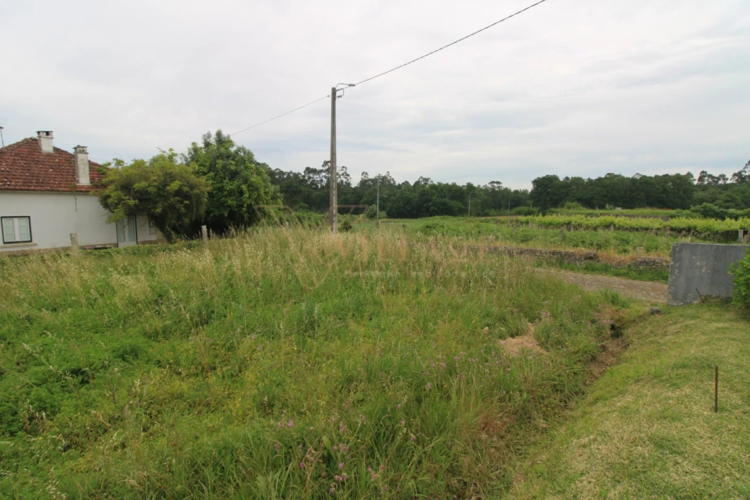 Terreno para Venda em Vila Nova de Cerveira e Lovelhe Foto 5