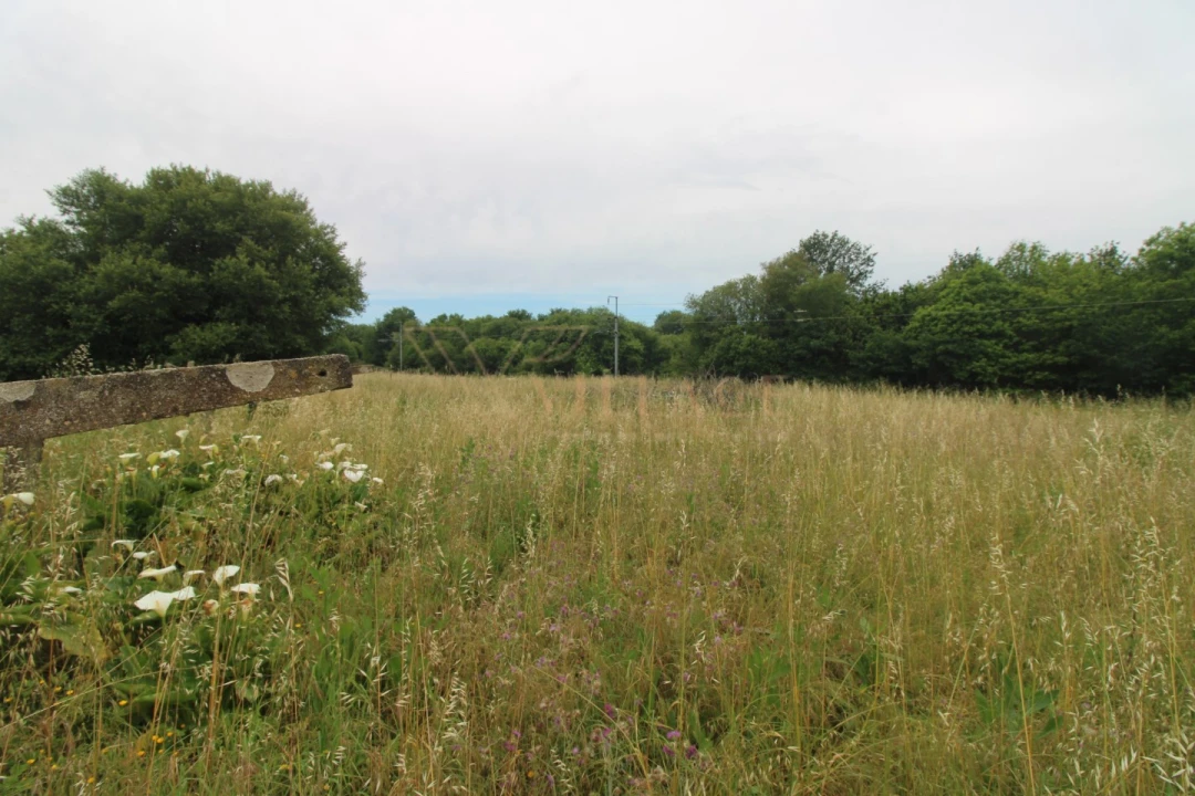 Terreno para Venda em Vila Nova de Cerveira e Lovelhe Foto 6