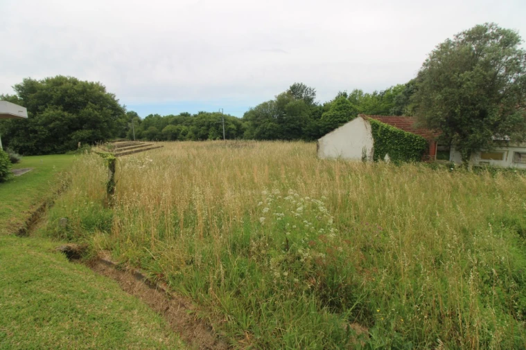 Terreno para Venda em Vila Nova de Cerveira e Lovelhe Foto 3