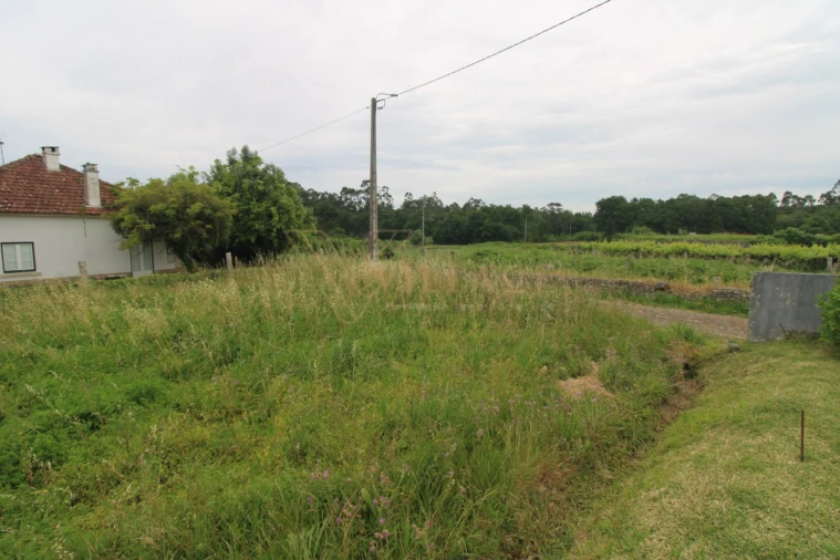 Terreno para Venda em Vila Nova de Cerveira e Lovelhe Foto 5