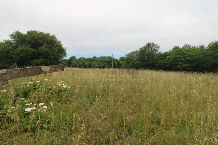 Terreno para Venda em Vila Nova de Cerveira e Lovelhe Foto 6