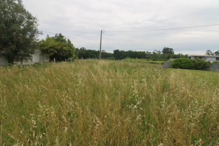 Terreno para Venda em Vila Nova de Cerveira e Lovelhe Foto 7