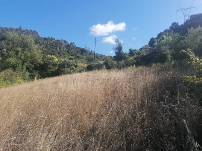 Terreno para Venda em Sobral de Monte Agraço Foto 5