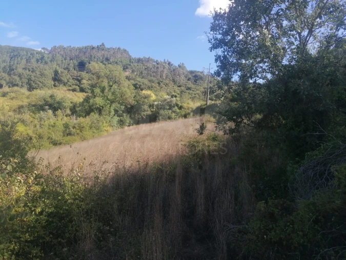 Terreno para Venda em Sobral de Monte Agraço Foto 1