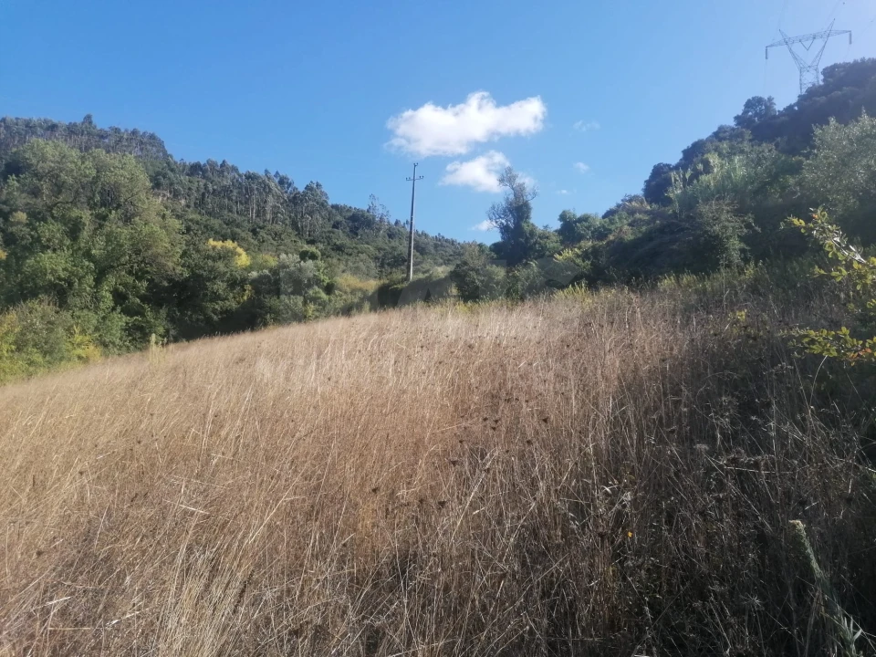 Terreno para Venda em Sobral de Monte Agraço Foto 5
