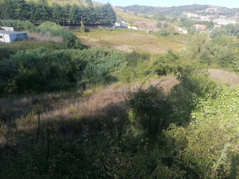 Terreno para Venda em Sobral de Monte Agraço Foto 7
