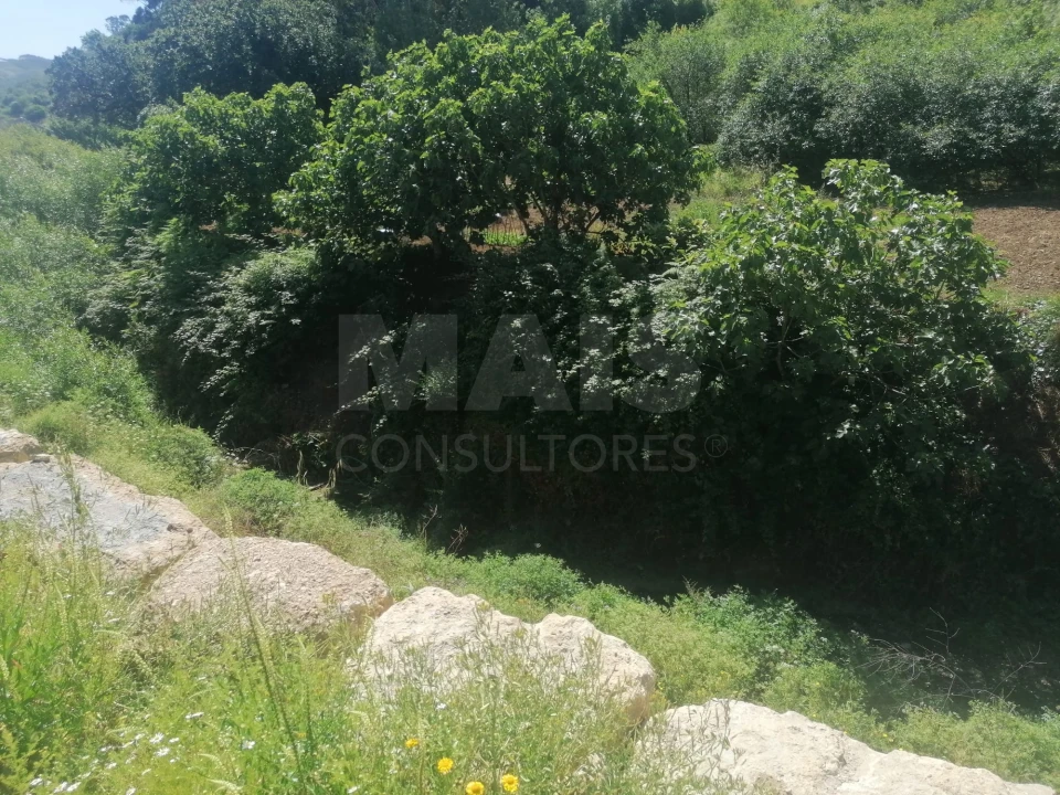 Terreno para Venda em Sobral de Monte Agraço Foto 2