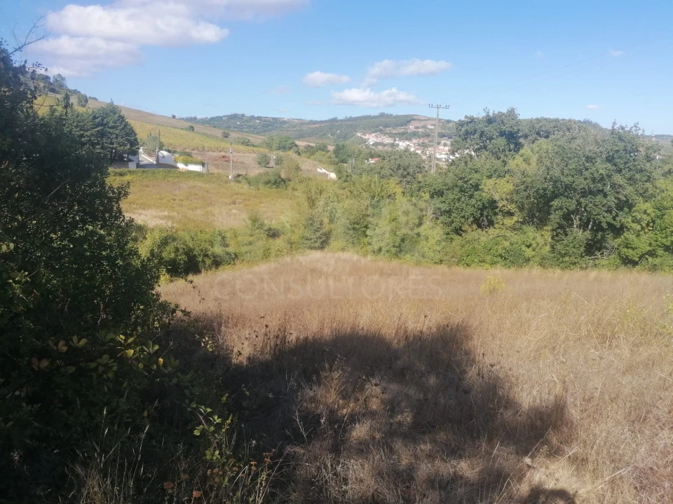 Terreno para Venda em Sobral de Monte Agraço Foto 6