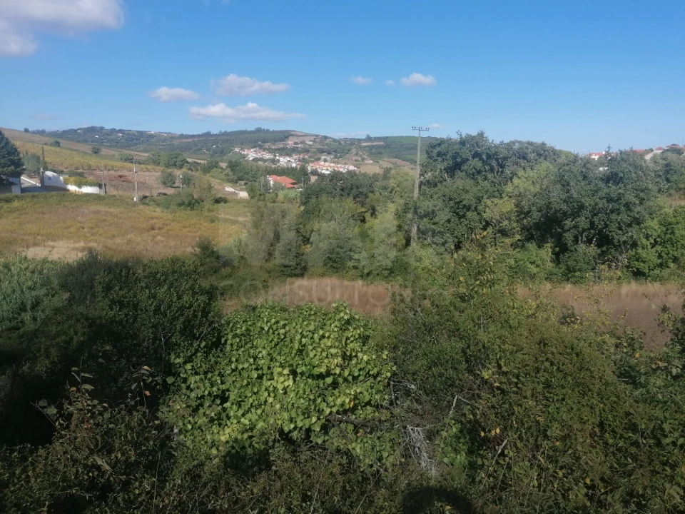 Terreno para Venda em Sobral de Monte Agraço Foto 3