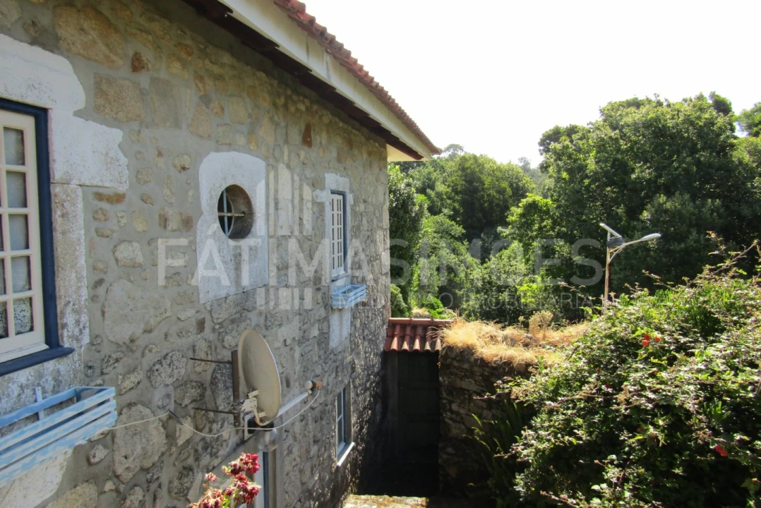 Quinta T7 para Venda em Ancora Foto 2