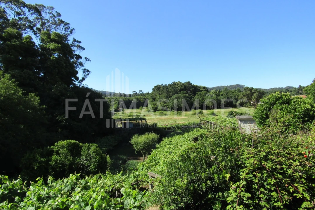 Quinta T7 para Venda em Ancora Foto 21