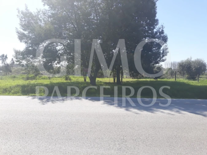 Terreno para Venda em Arcos e Mogofores Foto 3
