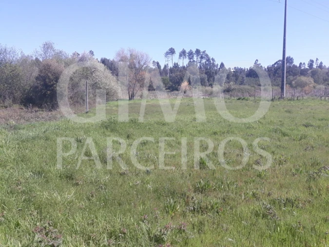 Terreno para Venda em Arcos e Mogofores