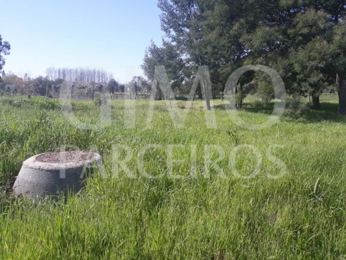 Terreno para Venda em Arcos e Mogofores Foto 2