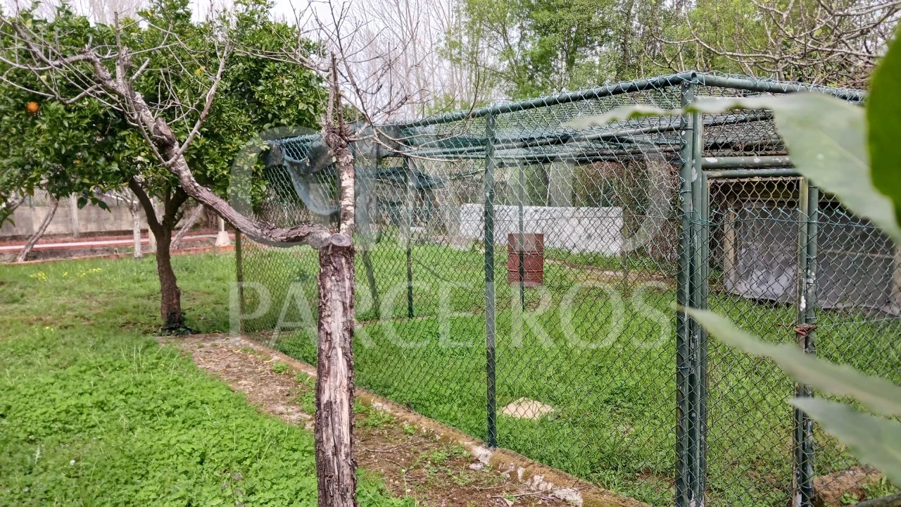 Moradia T5 para Venda em Tamengos, Aguim e Óis do Bairro Foto 62