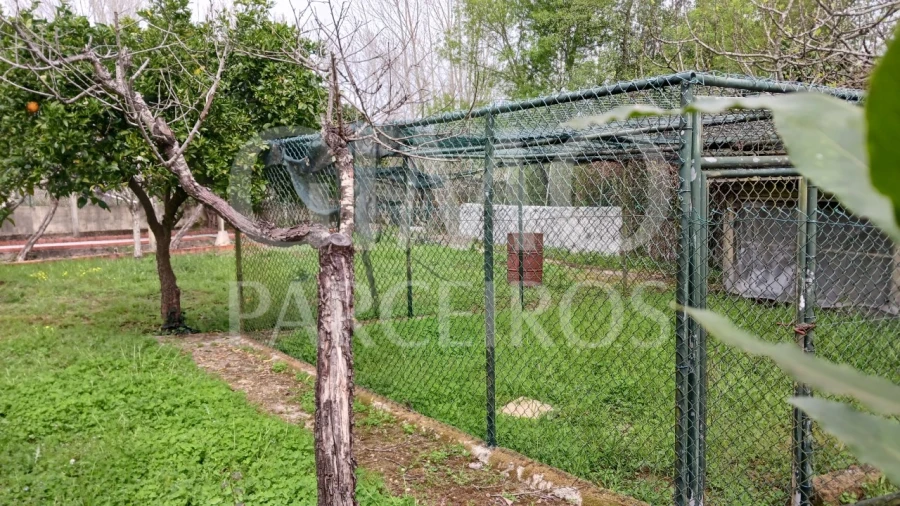 Moradia T5 para Venda em Tamengos, Aguim e Óis do Bairro Foto 62