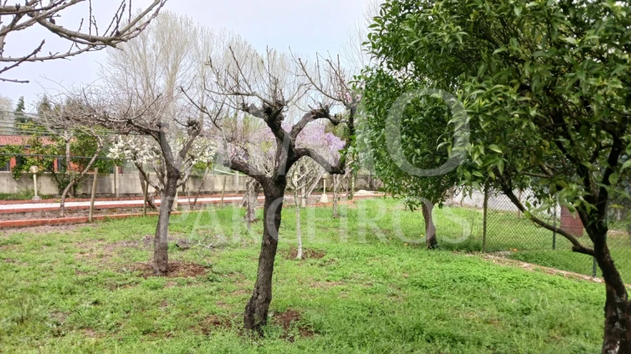 Moradia T5 para Venda em Tamengos, Aguim e Óis do Bairro Foto 63