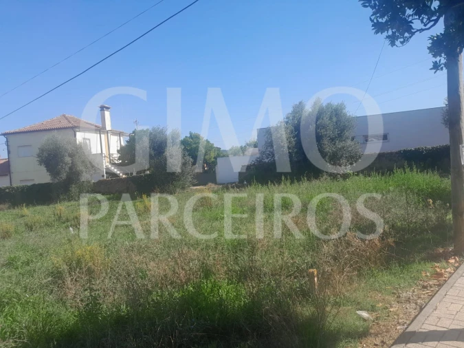 Terreno para Venda em Arcos e Mogofores Foto 4