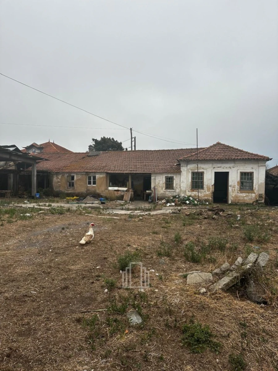 Moradia T2 para Venda em Murtosa