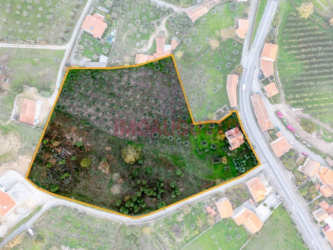 Moradia T7 para Venda em Cortiçô da Serra, Vide Entre Vinhas e Salgueirais Foto 18