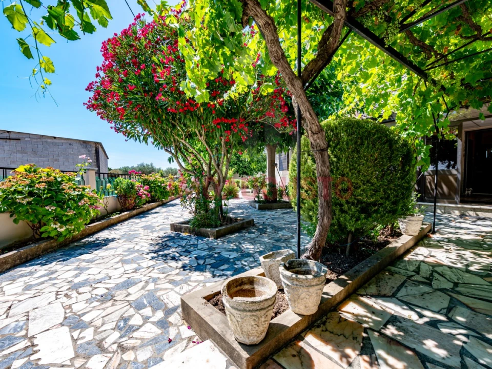 Moradia T5 para Venda em Vermiosa Foto 12