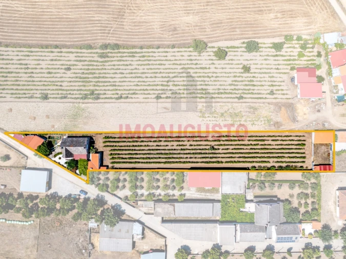 Moradia T5 para Venda em Vermiosa Foto 2