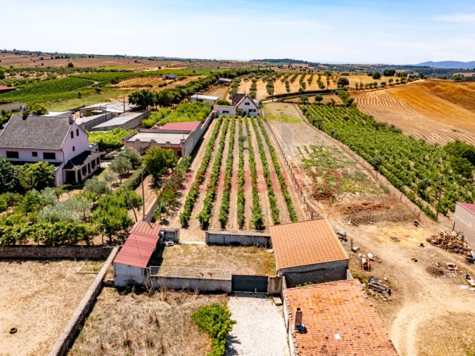 Moradia T5 para Venda em Vermiosa Foto 5