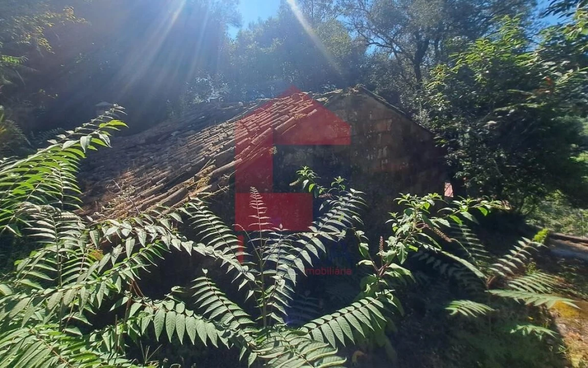 Moradia para Venda em Marrancos e Arcozelo Foto 4