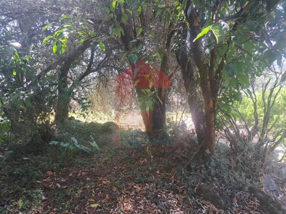 Moradia para Venda em Marrancos e Arcozelo Foto 11