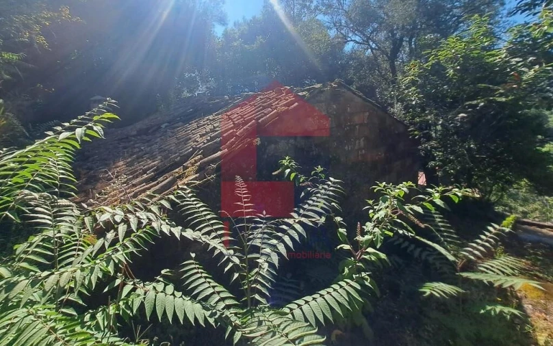 Moradia para Venda em Marrancos e Arcozelo Foto 4