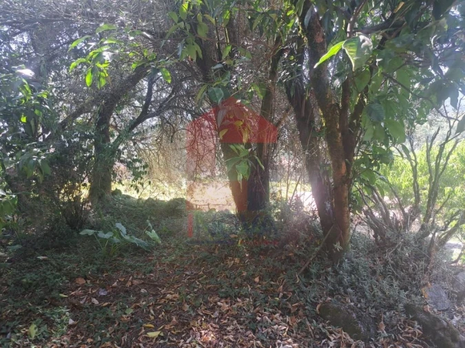 Moradia para Venda em Marrancos e Arcozelo Foto 11