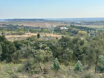 Terreno para Venda em Romeira e Várzea