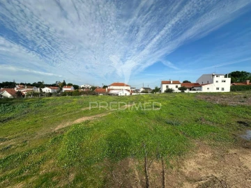 Terreno para Venda em Romeira e Várzea