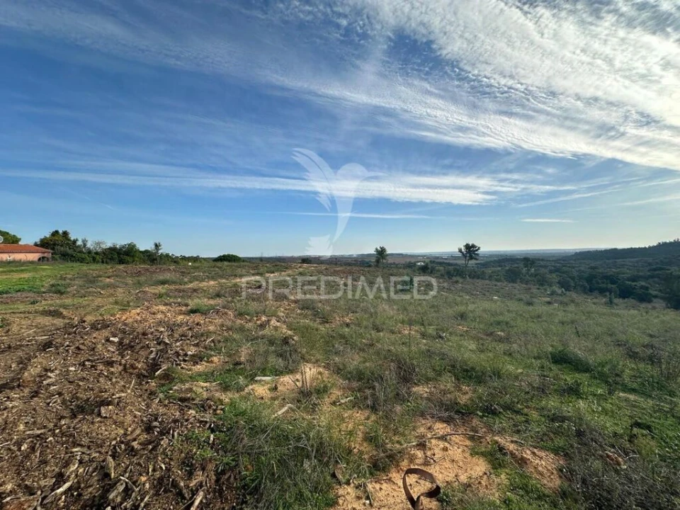 Terreno para Venda em Romeira e Várzea Foto 16