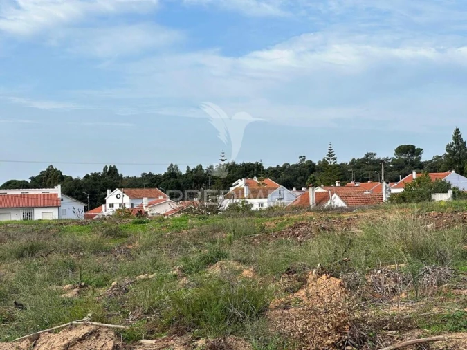 Terreno para Venda em Romeira e Várzea Foto 17