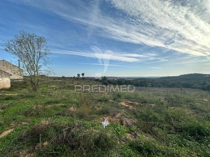 Terreno para Venda em Romeira e Várzea Foto 3