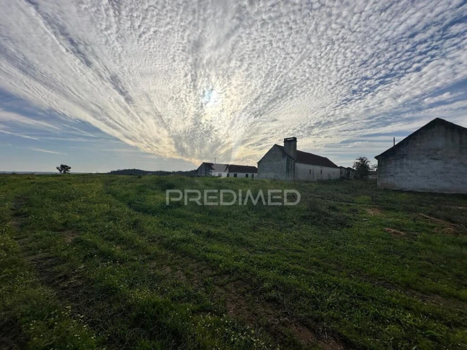 Terreno para Venda em Romeira e Várzea Foto 12
