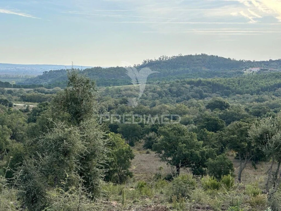 Terreno para Venda em Romeira e Várzea Foto 10