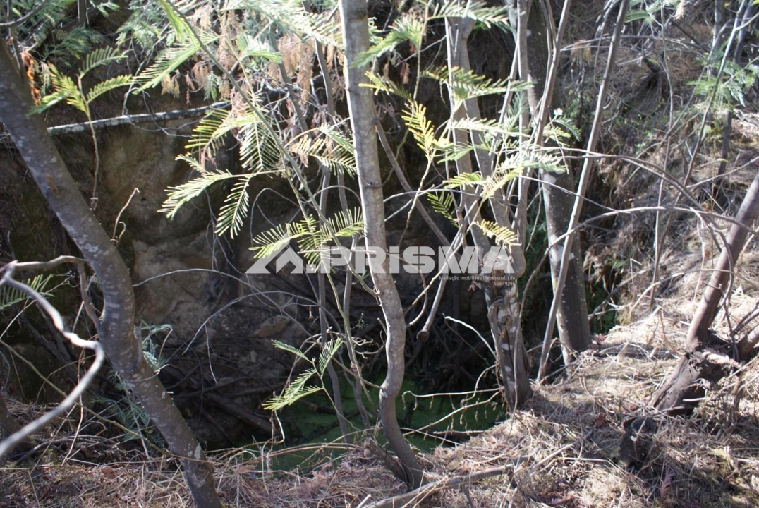 Terreno para Venda em Pero Viseu Foto 25