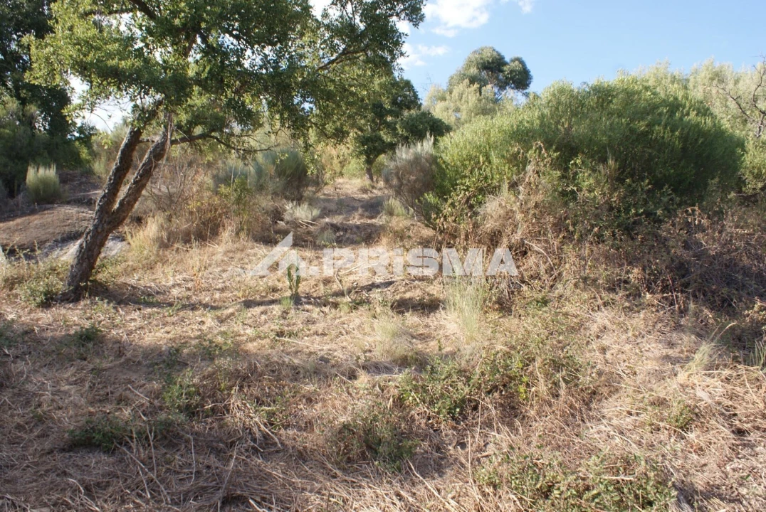 Terreno para Venda em Pero Viseu Foto 42
