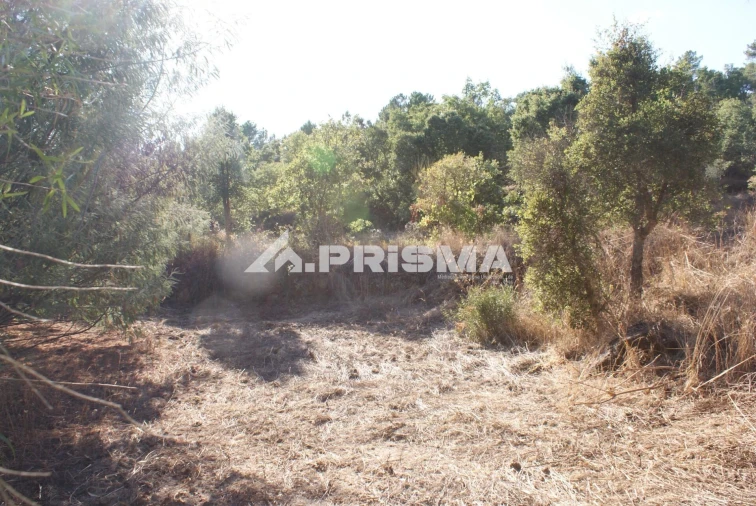 Terreno para Venda em Pero Viseu Foto 12