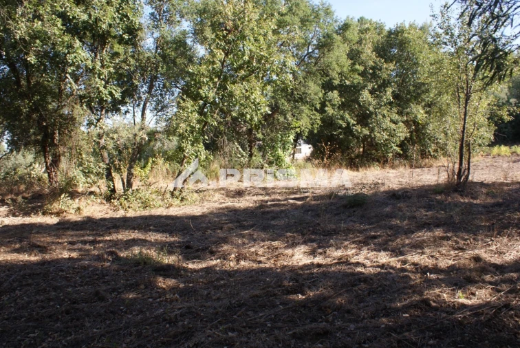 Terreno para Venda em Pero Viseu Foto 8
