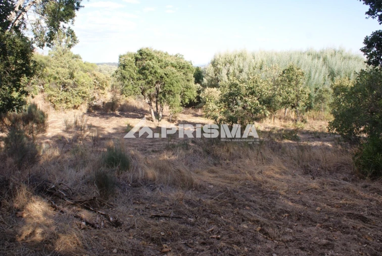 Terreno para Venda em Pero Viseu Foto 37